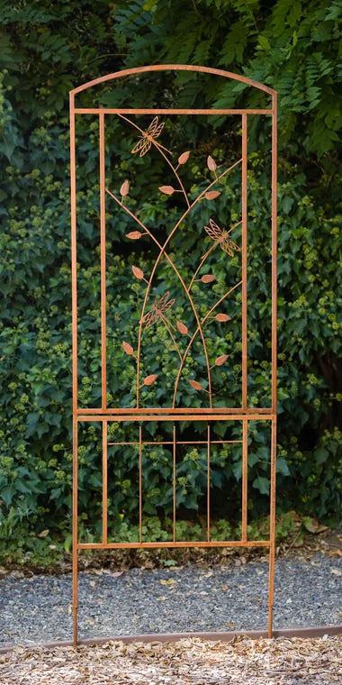 Dragonfly Trellis