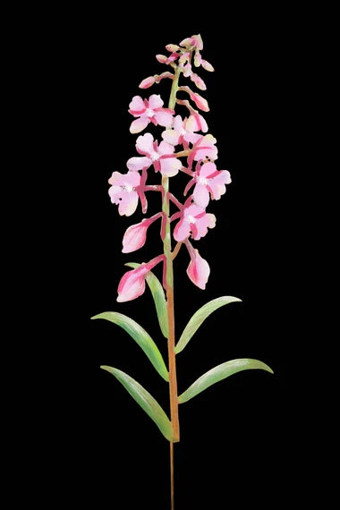 Fireweed Flower Garden Pick | Hand-Painted