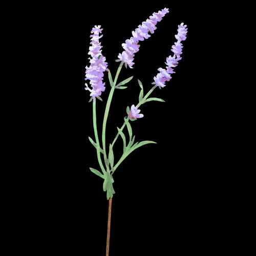 Lavender Pick - Painted