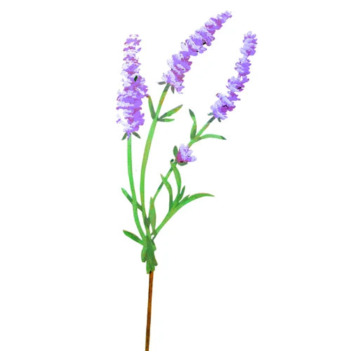 Lavender Pick - Painted